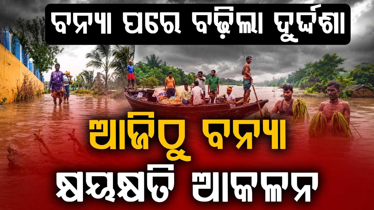 ବନ୍ୟା କ୍ଷୟକ୍ଷତି ଆକଳନ... | Odisha Flood Update | Damage Assessment Begins | Odisha | Argus News