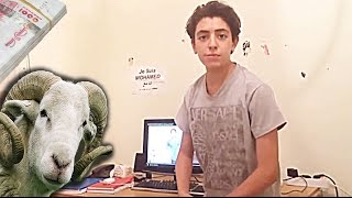 Dz mounir/عيد الاضحى في الجزائر /L39 aid en algerie -