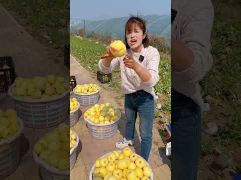Very very unique tasty apples fruits🍓🍉🍒🍎#fruit #nature #garden #gardening #vegetables