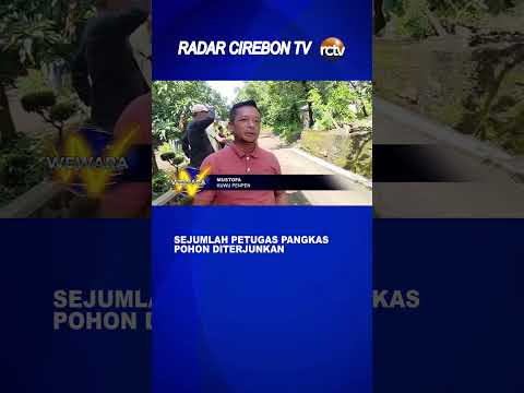 Sejumlah Petugas Pangkas Pohon Diterjunkan