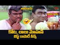 కోట, బాబు మోహన్ బెస్ట్ కామెడీ సీన్స్ | Kota And Babu Mohan Best Comedy Scenes | NavvulaTV