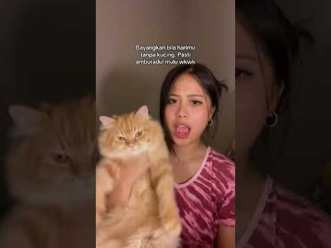bayangkan jika hidupmu tanpa kuciiing