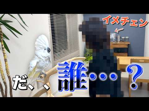 髪をバッサリ切ったママに…オウムが衝撃の反応!?【イメチェン】