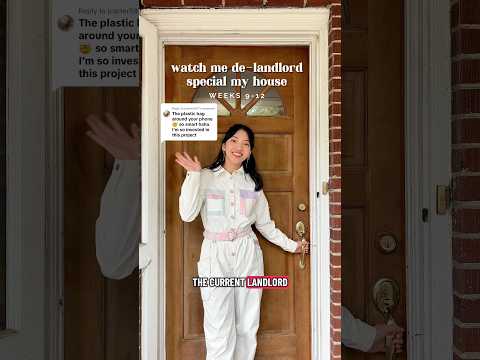 Weeks 9-12 of de-landlord specialing my house #remodel #renovation #homeimprovement #diy #home