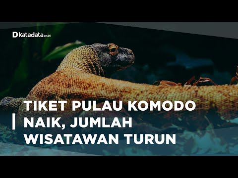 Harga Tiket Naik, 10 Ribu Wisatawan Batal Kunjungi Pulau Komodo | Katadata Indonesia