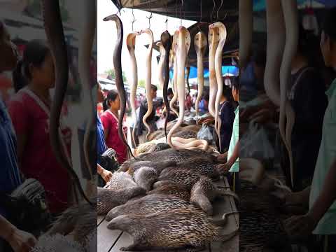 # wild animals sold in market (AI)