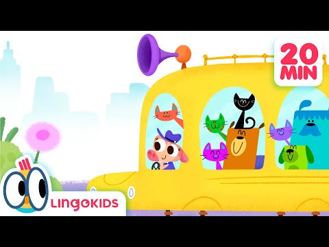 WE ❤️ CATS | Happy Cats' Day 🐱❤️ with Lingokids' Best Content for Kids