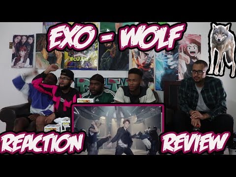 EXO 엑소 '늑대와 미녀 Wolf MV REACTION/REVIEW