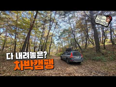 오랜만에 들린  산꼭대기 차박  포인트로 가을을 즐기러 다녀왔습니다!!      #솔로캠핑 #camping #캠핑