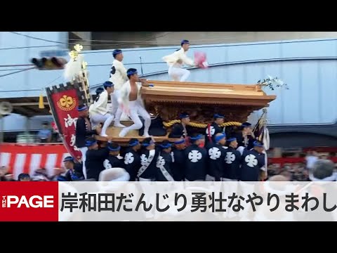 岸和田だんじり祭　34台のだんじりが勇壮なやりまわし