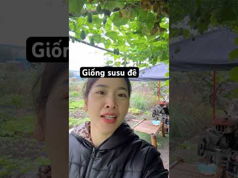Ai cần giống susu ới em nha