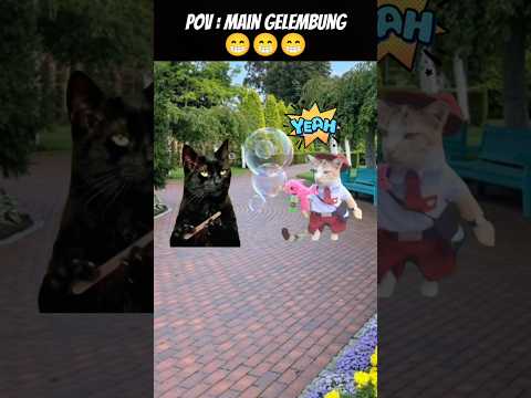 Pov : Kok Jadi Balon ⁉️😂 #meme #cat #kucing #kucinglucu #animation #fypシ