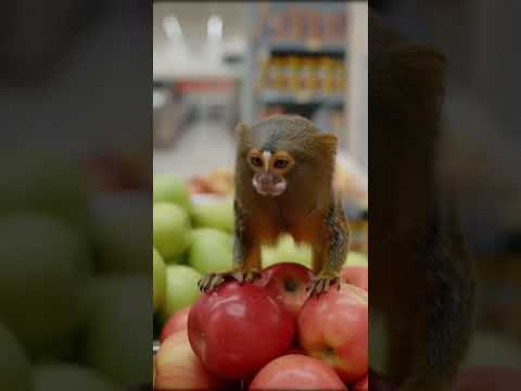 SLOWLY Take Away!! #funny #shortvideo