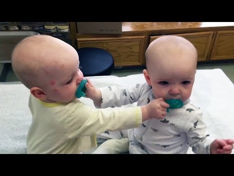 Nothing is more FUNNY than TWIN BABIES FIGHTING OVER PACIFIER - Enjoy Watching and LAUGH HARD!