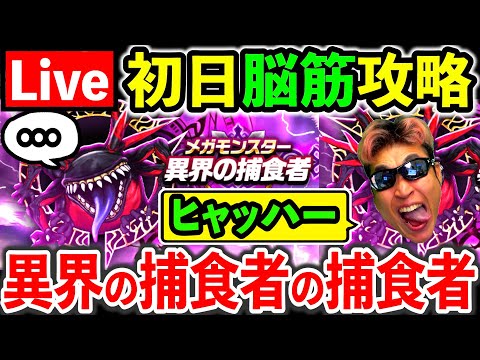 【ドラクエウォーク】異界の捕食者の捕食者が、食物連鎖頂点の力を見せつける配信