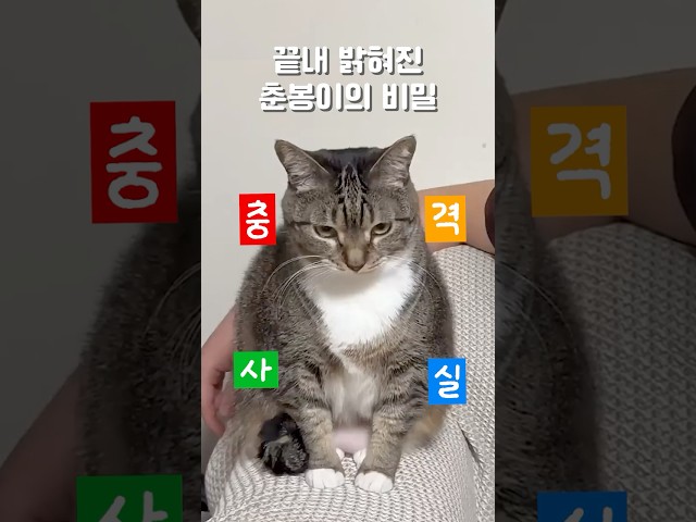 춘봉아 조끼 안 잠긴다 너