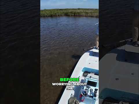 Use this simple system to find more fish video thumbnail