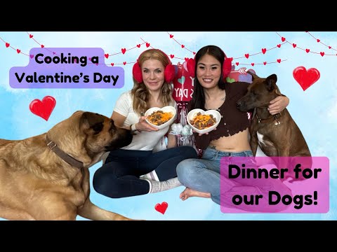 Making a Dog-Friendly Valentine’s Day Dinner!