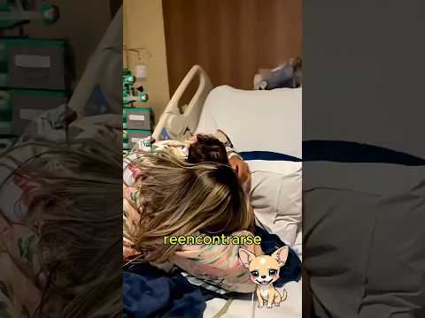 Esta Mujer solo RESCATA a 1 de sus 2 hijos durante un tsunami 😱 #shorts #curiosidades #tsunami