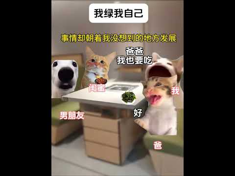 猫の動画サムネイル - 以后谈恋爱还是不要瞒着爸妈 #有趣 #猫meme #猫meme剧场 #猫meme小剧场 #内容过于真实  #故事 #貓 #猫猫meme小剧场 #喵不可言