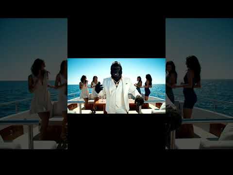 #gorille #ia #short #costume #yacht