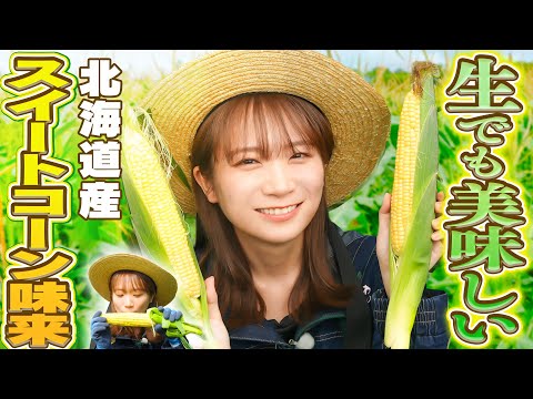 秋元真夏が北海道へ!まるでフルーツのようにとってもあま〜いトウモロコシ「スイートコーン味来」を収穫!!