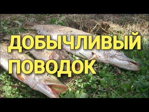 Все секреты ловли щуки на жерлицы. знать все тонкости Все секреты ловли щуки на жерлицы. знать все тонкости