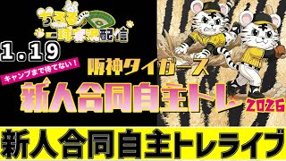【 阪神 新人合同自主トレ LIVE 】 1/19 阪神タイガース 新人合同自主トレ 2026 新人自主トレをみんなで一緒に応援ライブ #全