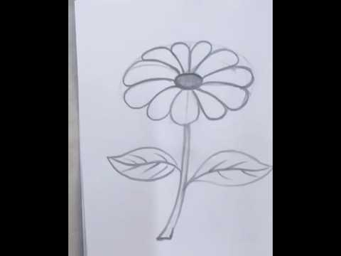 رسم وردة بسهولة