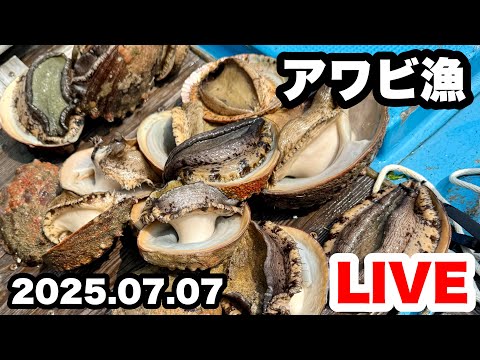 ◆【アワビ漁】生配信