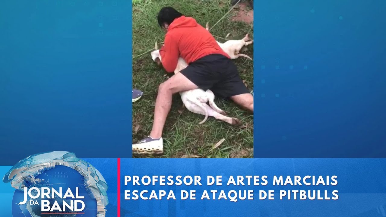 Professor de artes marciais escapa de ataque de pitbulls