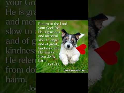 #music #dailybibleverse #dog #petlover