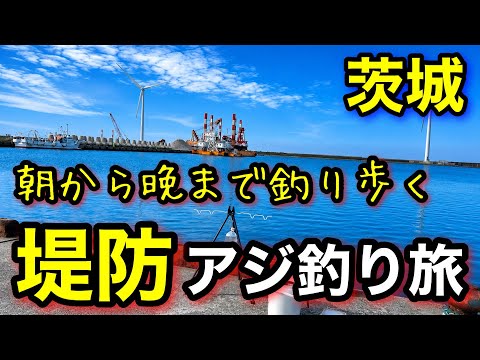 【茨城釣り旅】入れ食いのアジと地元の海鮮に癒されました