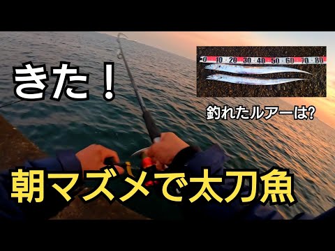 ついにきた！朝の時合いで80cm超えの太刀魚が!!釣れたのはあのルアー！