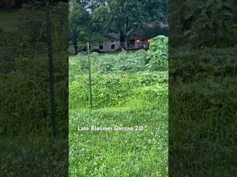 Garden overrun with weeds! #gardening
