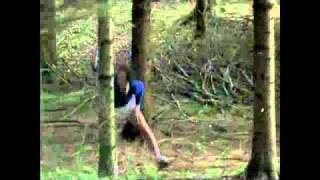 Nacktschnecken - GLAWOGGER, MICH