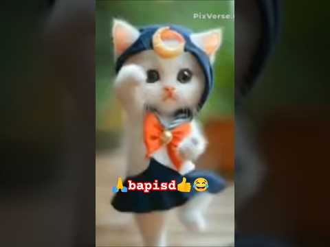 teacup dog breeds / teacup puppies 🐕 mini wood toy art / hand craft #shorts #dog #toys #cute #puppy🙏