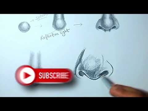 Part -2 - Learn to draw Portrait - Drawing of Nose with Easy steps by Vikash Kumar