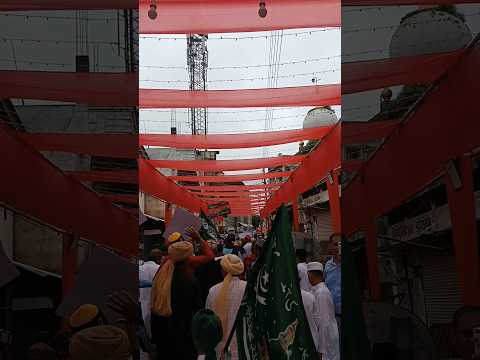 julus #mohammad ♥️♥️I love Mohammad ♥️#trendingvideo #youtubeshorts #mohammad #ytshorts #viral