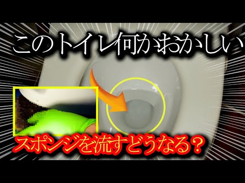 トイレ詰まり、便器内にスポンジを流しちゃった！？さてどうやって取る？【花のお掃除 #342】