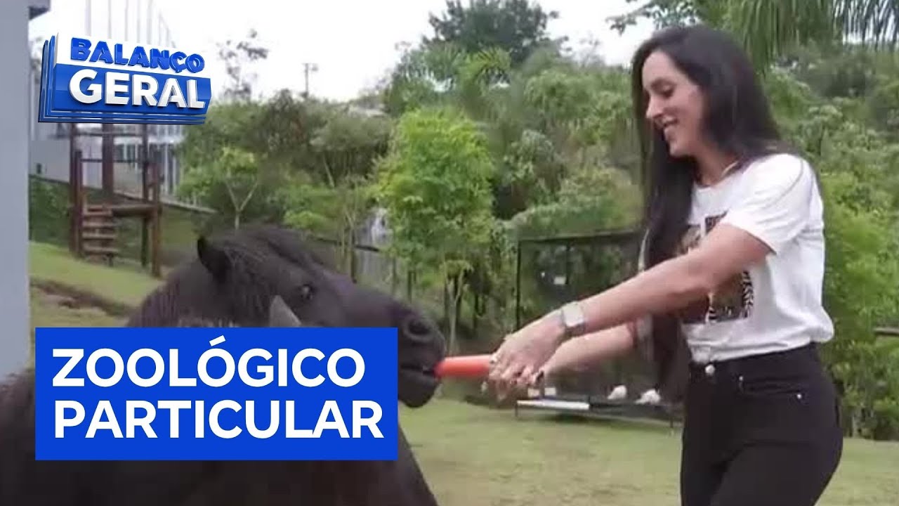 Casal apaixonado por bichos cria mais de cem animais em zoológico particular em Jacareí (SP)