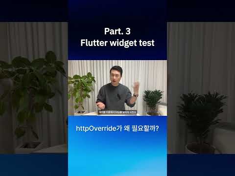 flutter widget test시,  Http interrupt 하기