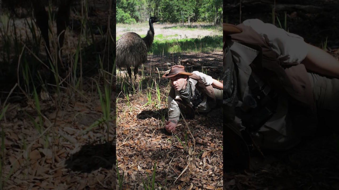 GROSS! I almost got POOPED ON by an emu!