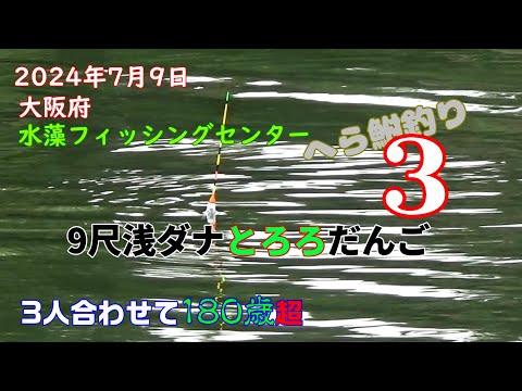 9尺 浅ダナ 【とろろダンゴ】　 水藻フィッシングセンター オヤジたちの夏休み　へら鮒釣り