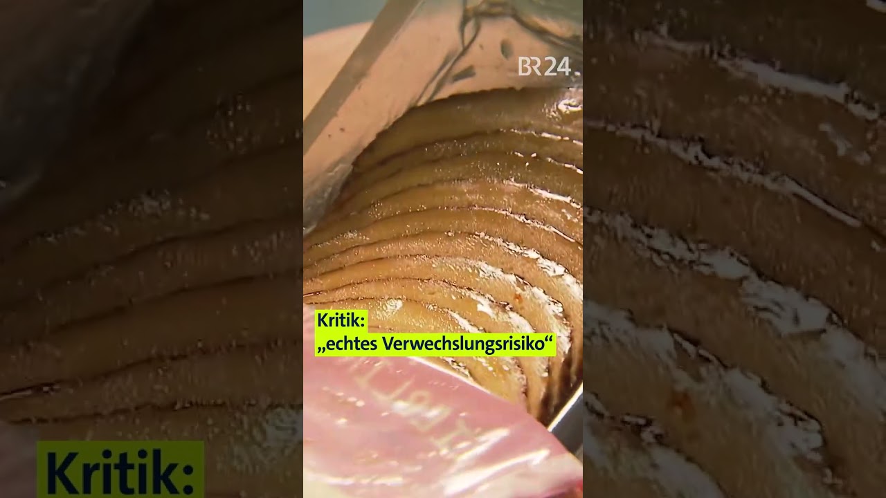 Plattgedrückte Sojamasse statt Veganes-Schnitzel? | BR24 shorts