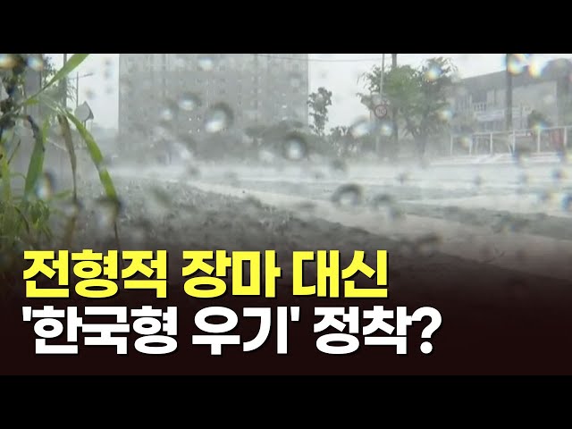 전형적 장마 대신 '한국형 우기' 정착? [아침에 PICK] [뉴스퍼레이드]