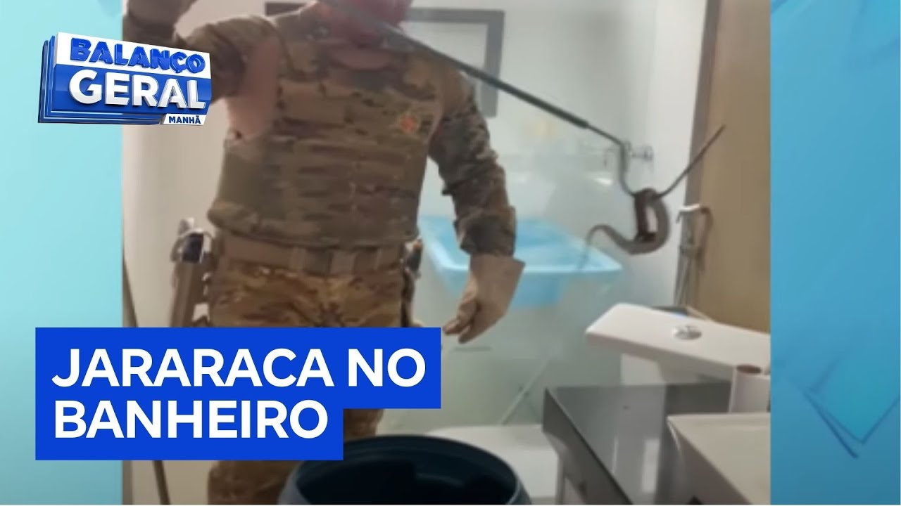 Jararaca é encontrada dentro de caixa de privada em Sobradinho DF