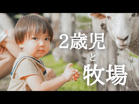 【Vlog】 動物大好きな息子と牧場行ったら可愛すぎた。