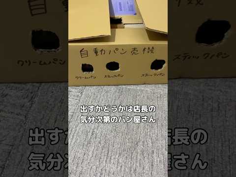 出すかどうかは店長の気分次第 #マンチカン #マンチカン短足 #猫のパン屋 #shorts サムネイル