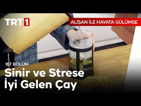 Sinir ve Stres ile Savaşan Çay 🍵 Dr. Muammer Yıldız Anlatıyor - Alişan ile Hayata Gülümse